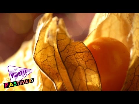 Top Ten Rarest and Tastiest Fruits in the World