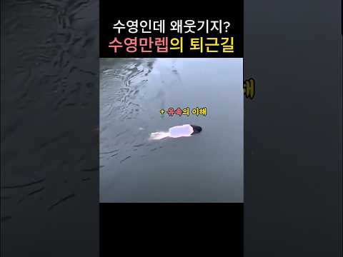 수영인데 왜 웃기지? 수영만렙의 퇴근길