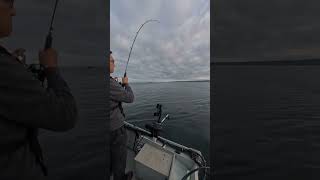 2025/9/12 コホサーモン釣り