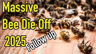 Massive Bee Die Off, What's Killing the Bees? (The Follow Up)(Re-Edited)