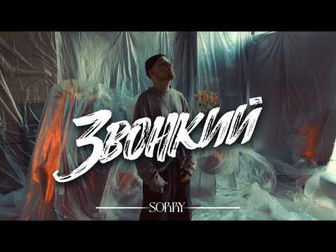 Звонкий – Sorry