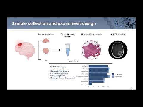 [Liang-Bo Wang] Building insights toward proteogenomic characterization of glioblastoma tumors