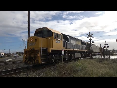 XR557, G523 7902V Container At North Geelong