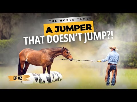 Why Pressure Makes Jumping Worse | Ep. 2 The Horse Tamer (Candice & Harley)