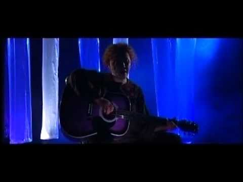 NARCISA SUCIU  Campuri Aurii