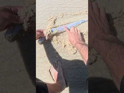 Na sobrevivência a gente vai no improviso! Já limparam peixe espada assim!?🐟🏝 #pesca #catchandcook