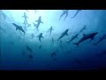 The Blue Planet Collection Part 1 BBC Earth
