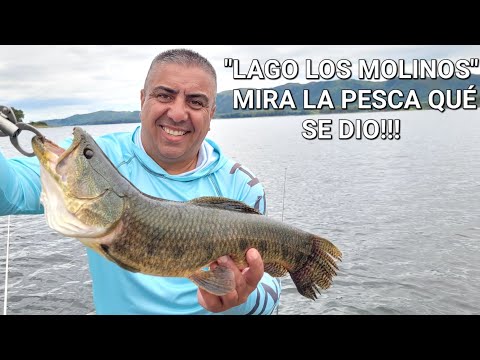 -LAGO LOS MOLINOS- PESCA DE GRANDES TARARIRAS, BAGRES Y CARPAS 