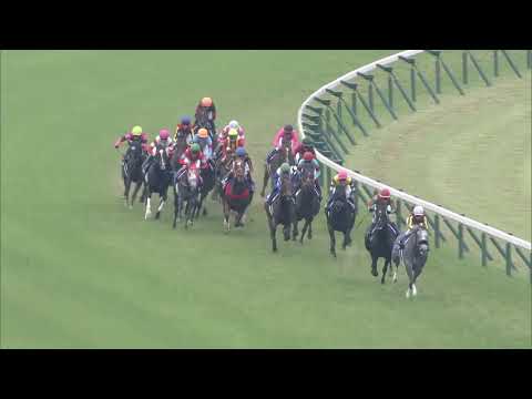 2019 Yasuda Kinen (G1)