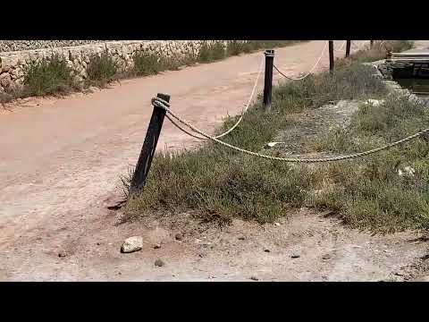 Parco del Molentargius saline e fenicotteri