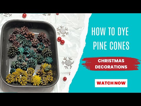 HOW TO DYE PINE CONES | PINE CONE CHRISTMAS DECORATIONS IDEAS | DIY TUTORIAL
