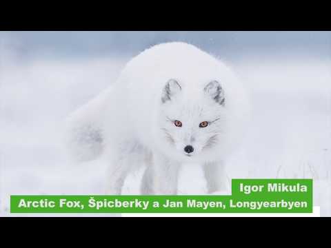 Czech Nature Photo 2017