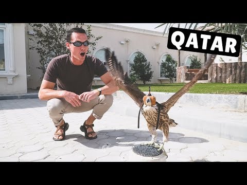 MIDDLE EAST CRUISE STOP #4: DOHA WITH LOCALS!