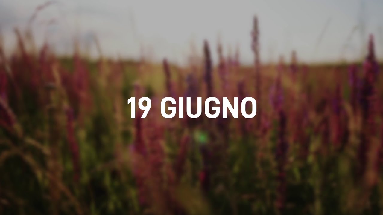 19 Giugno 2025 | Meditazione Parole di Vita