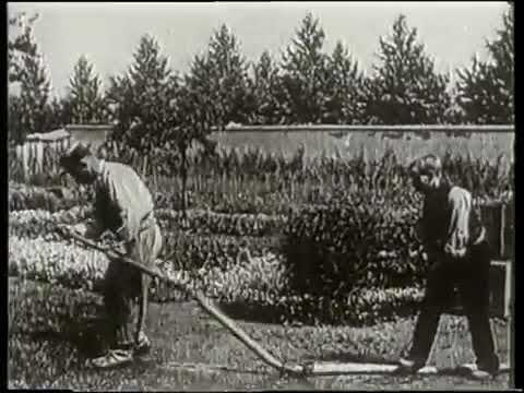 "The Gardener" or "The Sprinkler Sprinkled" (Lumière Brothers, France, 1895)