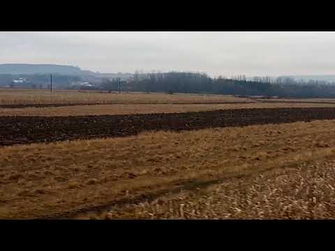 Linia 513 Dărmănești-Cacica 15.12.2020