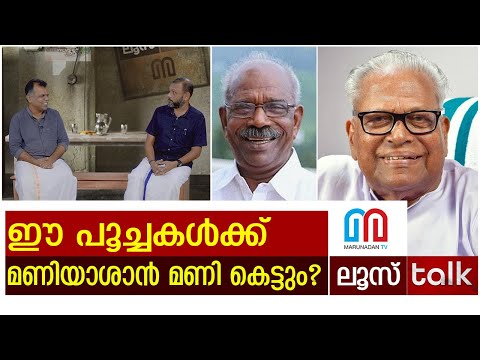 മൂന്നാറിലെ പുതിയ പൂച്ചകൾ എലിയെ പിടിക്കുമ്പോൾ | Loose Talk Episode- 264