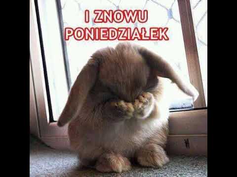 IOD PODCAST 001 //VISCERALE//  | Instruments of Discipline |