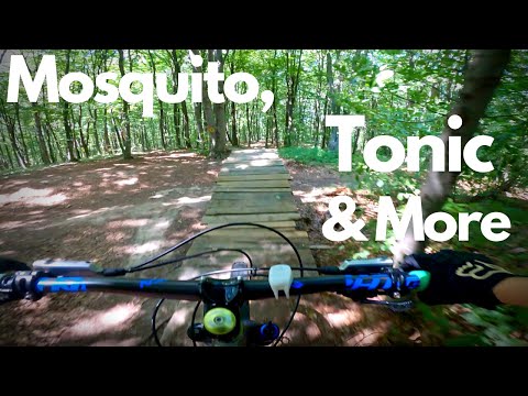 Mosquito, Tonic & More  | Trasee Flow cu sarituri in Feleacu, Cluj-Napoca | Filip2Bike