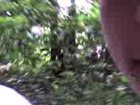 invasão cefet!! 1121 e nozes(faetec)