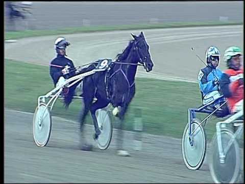 Trotto 06/11/2016 - 3ª corsa