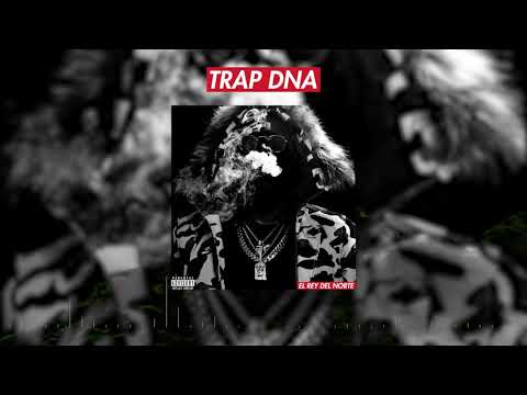 Video thumbnail for Trap DNA