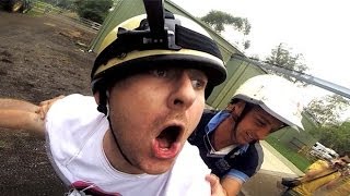 Horse Semen Extraction