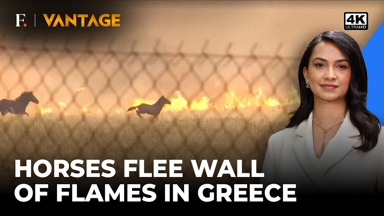 Greece Wildfires: Horses Flee as Flames Engulf Fields Near Athens | Vantage on Firstpost | 4K