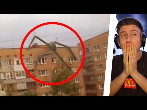 10 RIESIGE KREATUREN die von der Kamera eingefangen wurden..