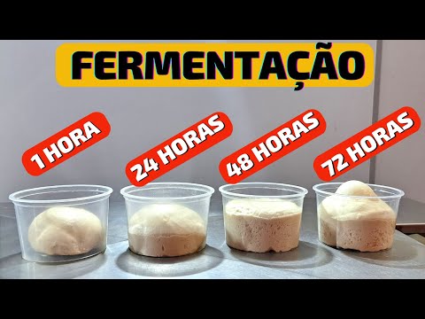 MASSA DE PIZZA I FERMENTAÇÃO RÁPIDA E FERMENTAÇÃO LONGA I QUANTO TEMPO MASSA DE PIZZA DEVE DESCANSAR