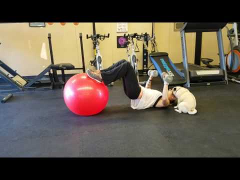 Every BODY's Fit "FIT Clip" 443 Video: Ball Hip Bridge Chest Press for Total Body