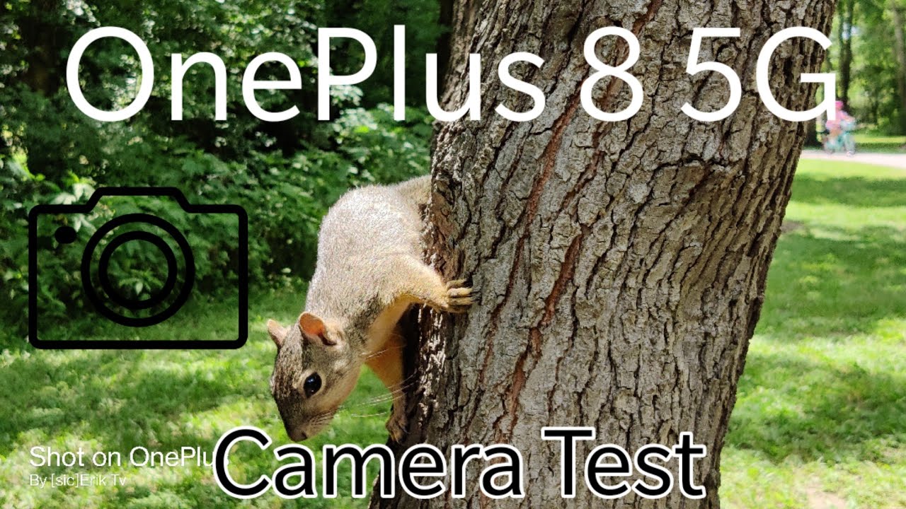 OnePlus 8 5G | Camera Test (Video/Photos)