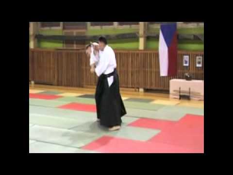 Ichiro Shishiya -  ninote juji garami