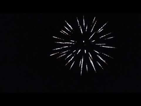 14 - Dominator 1.4 Pro 62mm Shells