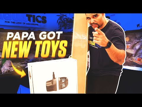 These Aquarium Gadgets Changed My Fish Tank Forever