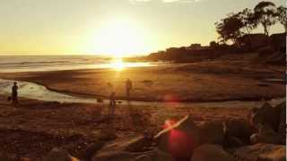 Coldplay - Death And All His Friends Music Video (With Lyrics)