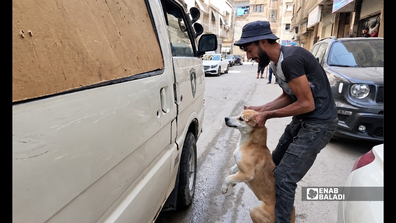 حملة لجمع الكلاب الشاردة في داريا