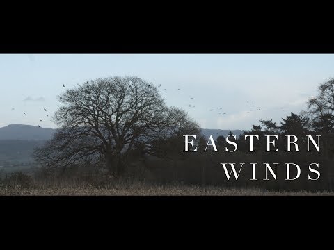 "Eastern Winds" | SOFT PIANO | Luke Faulkner