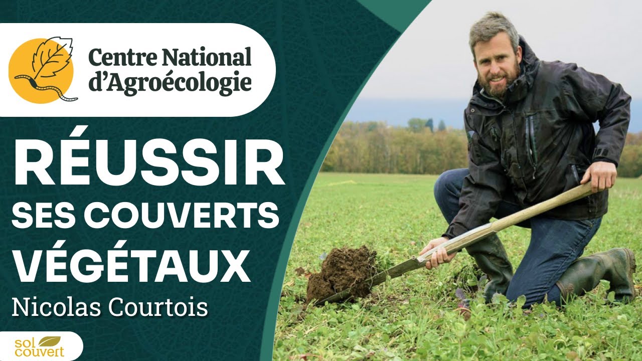 Réussir ses couverts végétaux : les 11 commandements, Nicolas Courtois - CNA