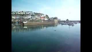 preview picture of video 'A seal in Mevagissey Harbour'