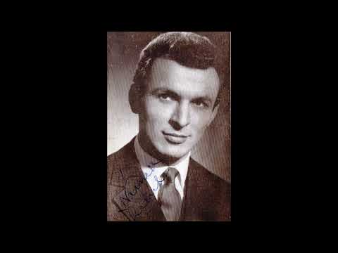 Németh Lehel: Hétpettyes katicabogár