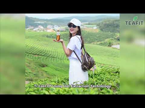 TEAFIT - Uống Sạch, Sống Chất