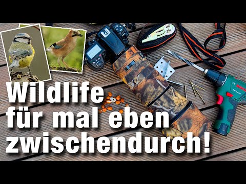 Wie du bessere Fotos von Gartenvögeln machst | Wildlifefotografie für mal eben zwischendurch