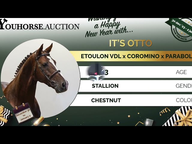 It's Otto @ the show