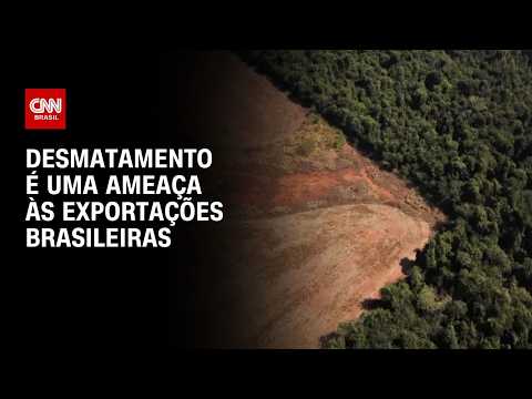 Desmatamento é uma ameaça às exportações brasileiras? Veja análise | CNN PRIME TIME