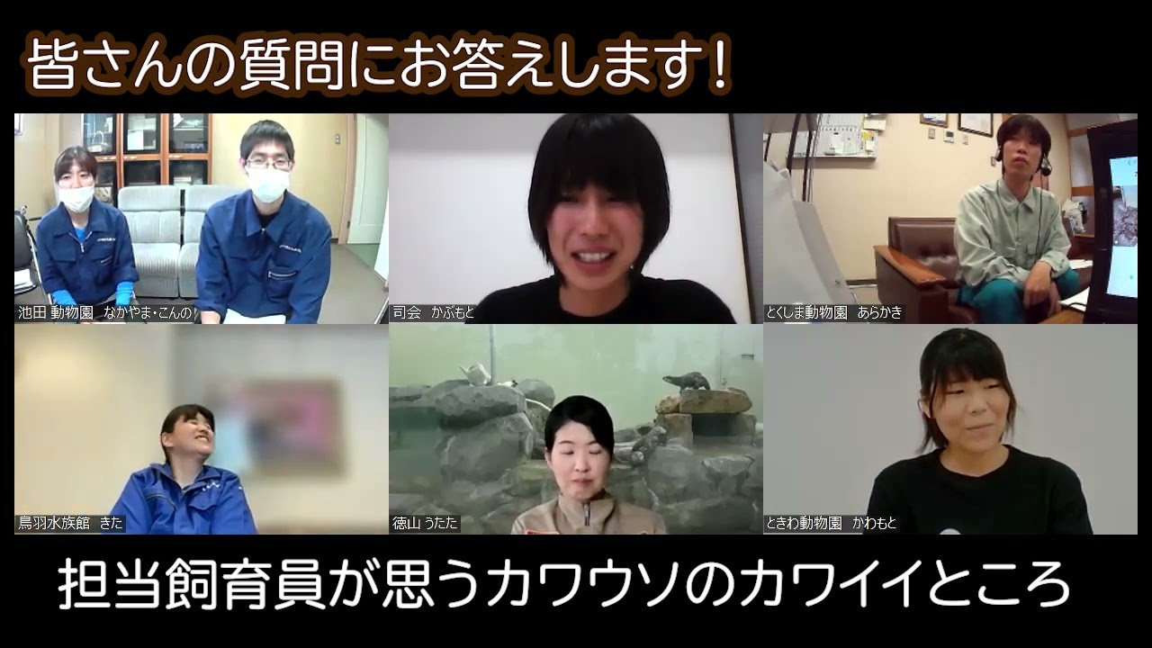 ツメカワウソ飼育5園館特別座談会#7　コツメカワウソ【質問にお答えします・後編】