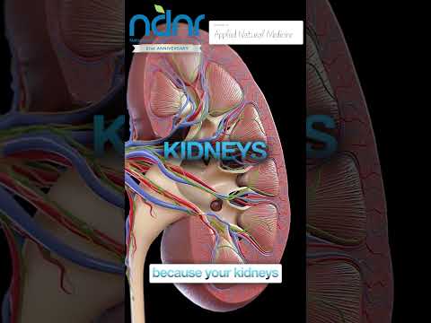 What else does Creatinine Reveal?
