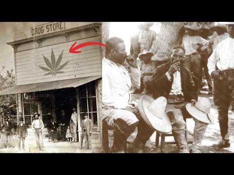 Cannabis Cowboys: The Dark History of Weed in the Old Wild West...