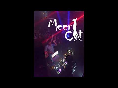 Meercat    Danghai Club KABARET