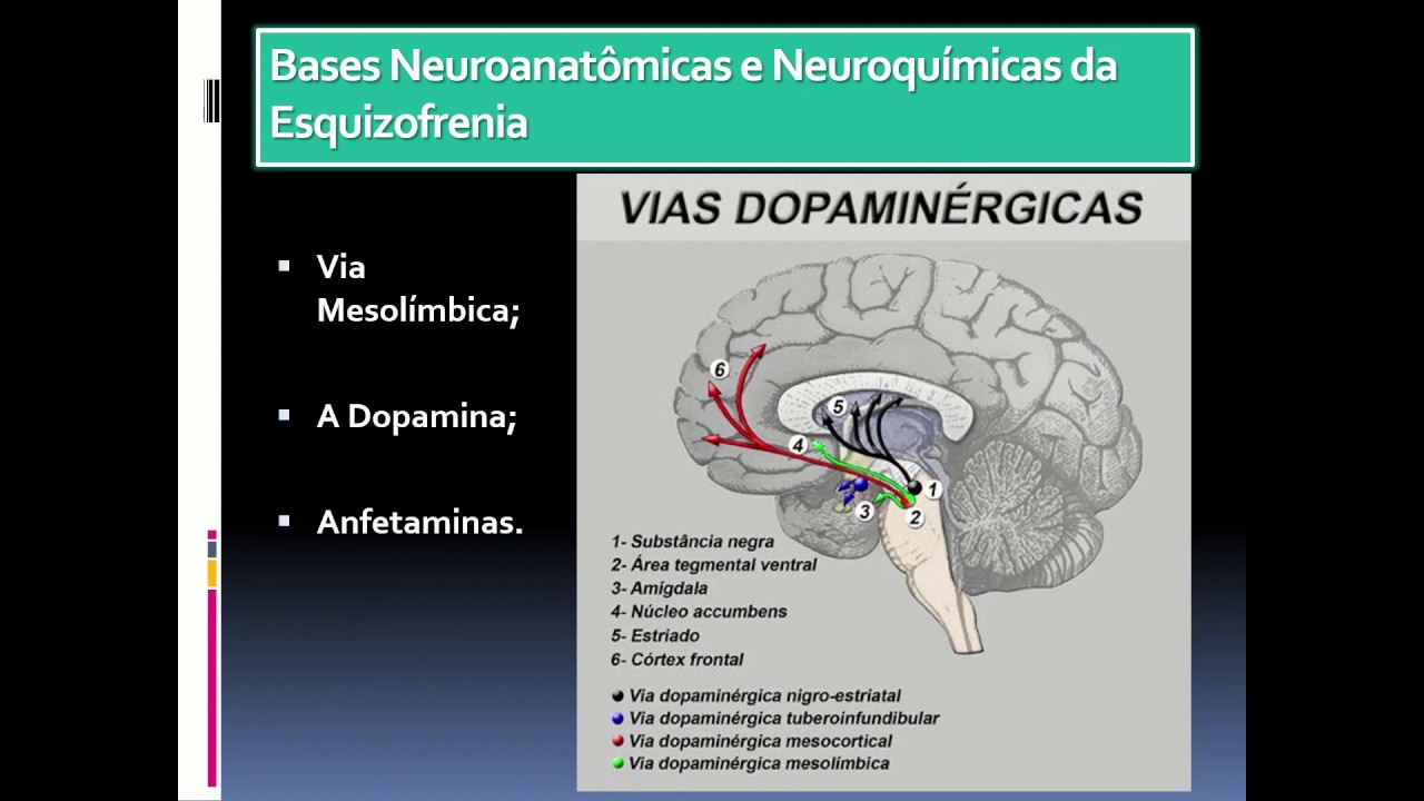Aula   Psicofarmacologia da Esquizofrenia